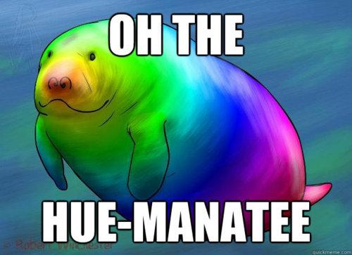 oh_the_hue_manatee_by_wishermadeawishfall-d4kdo2x.jpg