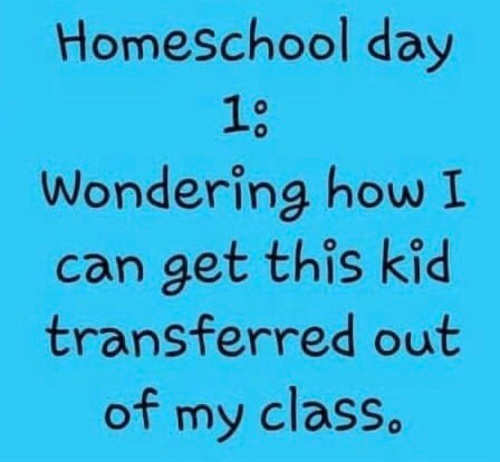 homeschool-day-1-wondering-how-get-this-kid-transferred-out-of-my-class.jpg