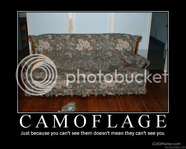 camoflage.jpg