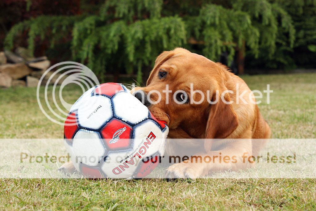 MollywithBall3_zps050b2474.jpg