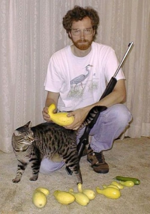 gun-cat-squash.jpg