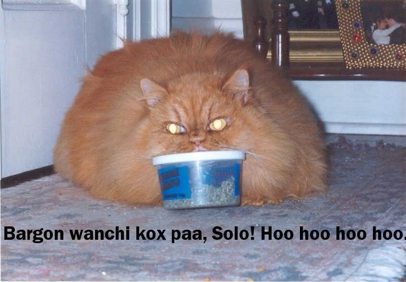 jabba_cat.jpg