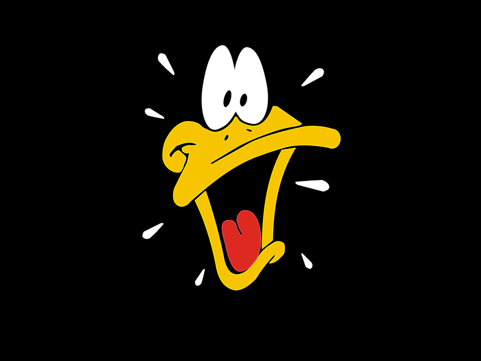 Daffy-Duck-daffy-duck-12857012-1600-1200.gif