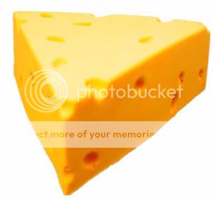 cheese_oh_cheese.jpg