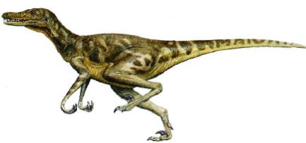 velociraptor-dinosaur.jpg