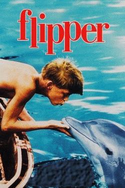 flipper_box_250.jpg