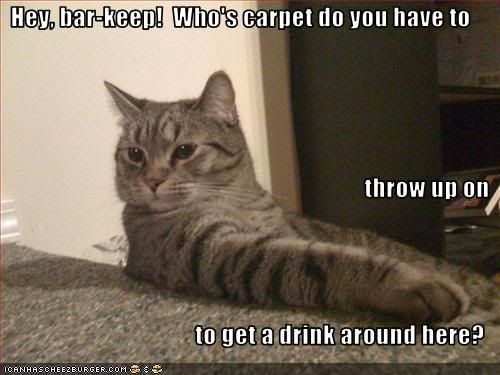 funny-pictures-your-cat-is-in-a-bar.jpg