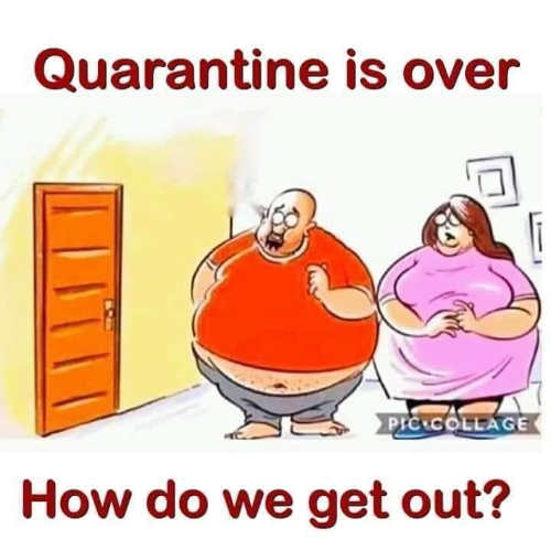 fat-quarantine-is-over-how-do-we-get-out.jpg