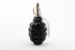 250px-F1_grenade_travmatik_com_01_by-sa.jpg