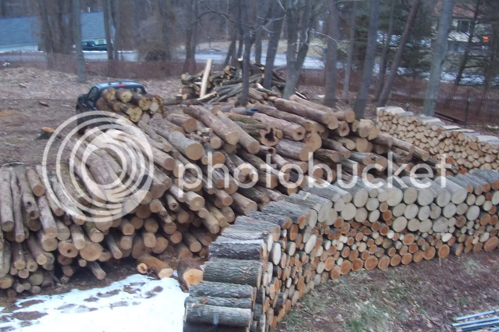 Woodpiles2162013009.jpg