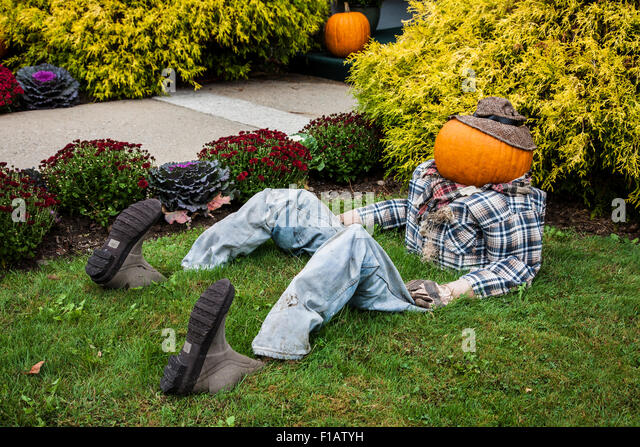 halloween-decor-of-a-funny-pumpkin-head-man-sitting-in-the-grass-in-f1atyh.jpg