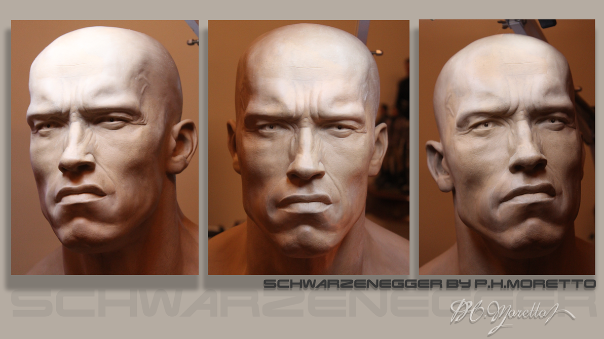 arnold_schwarzenegger_1_1_wip_by_pedro_moretto-d9mxqsp.png