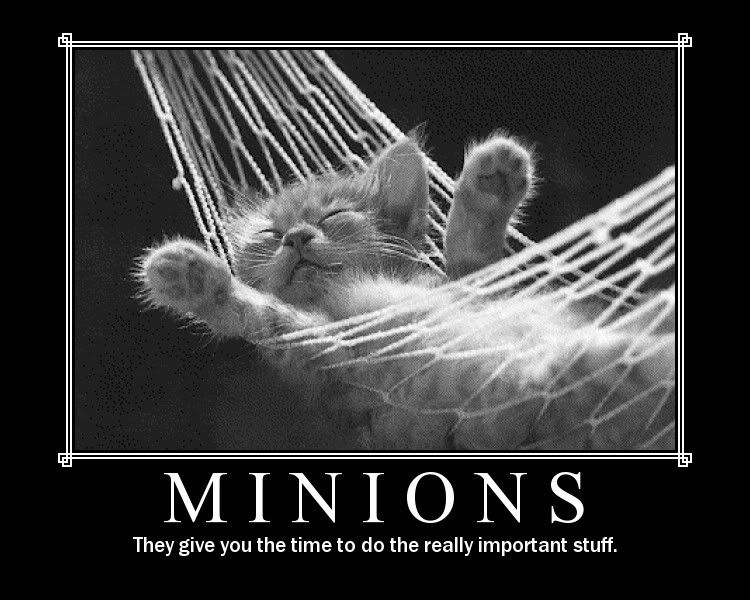 lolcat_minions.jpg