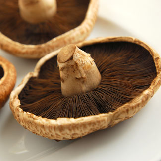 Portobello-Mushroom.jpg
