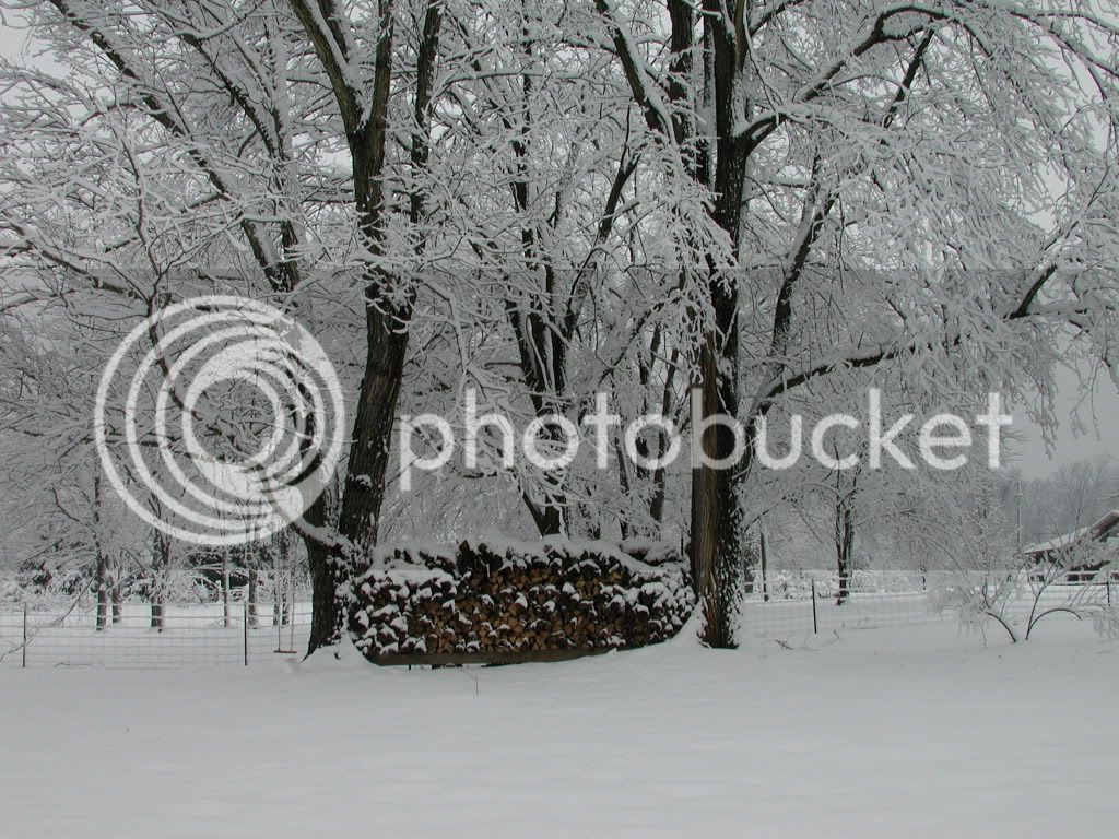 1209Snow3.jpg