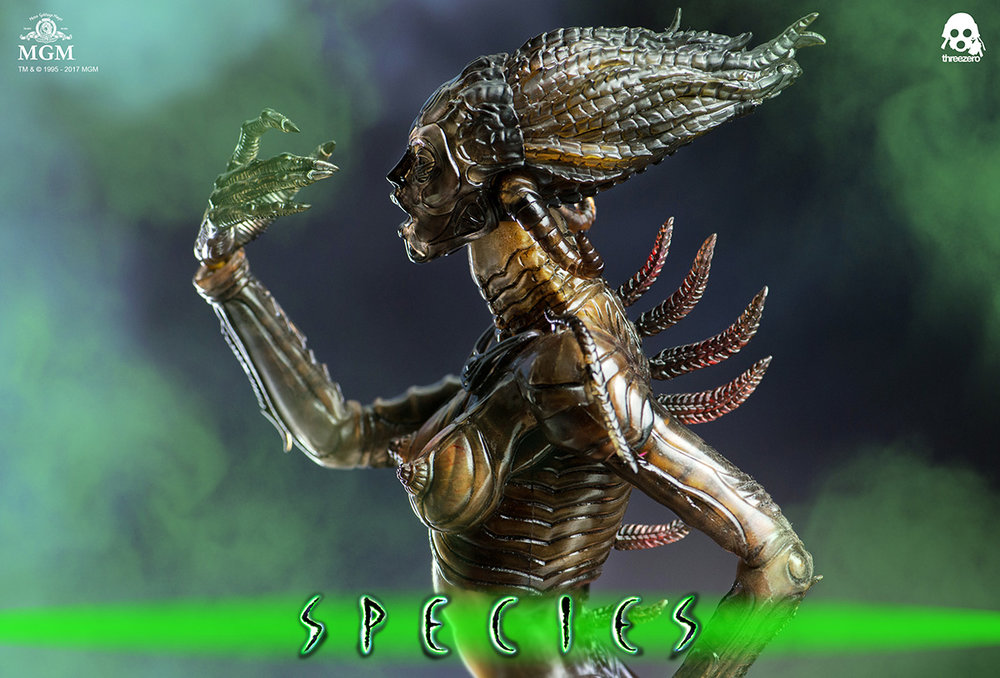 Species_6341.jpg