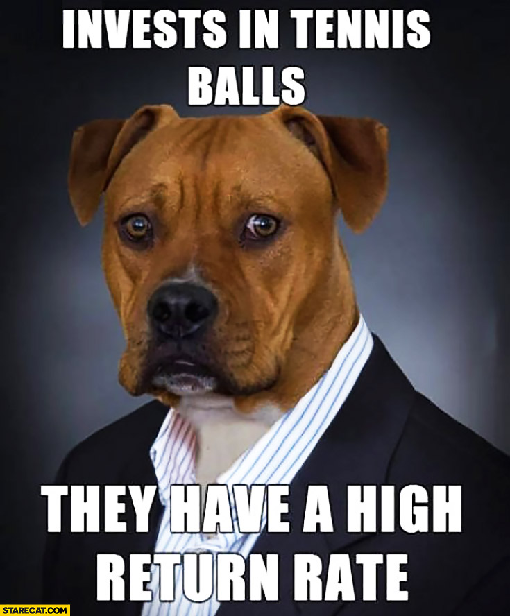 dog-invests-in-tennis-balls-they-have-a-high-return-rate.jpg