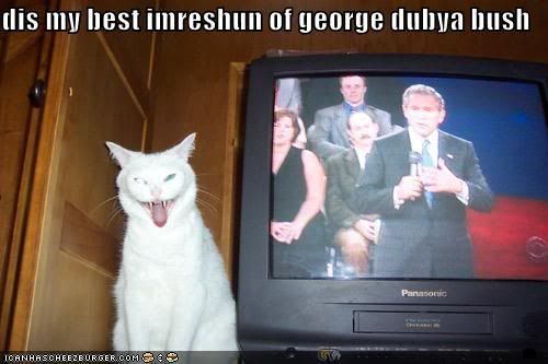 funny-pictures-cat-george-bush-impr.jpg