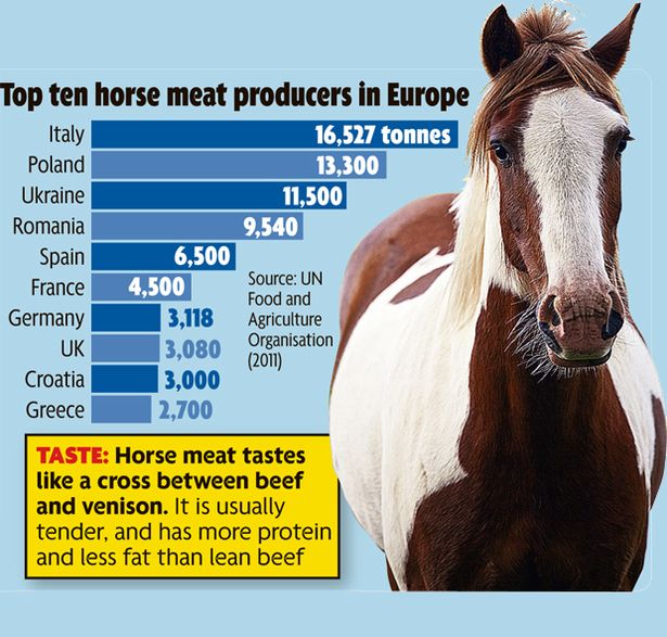 horsemeat%20graphic.jpg