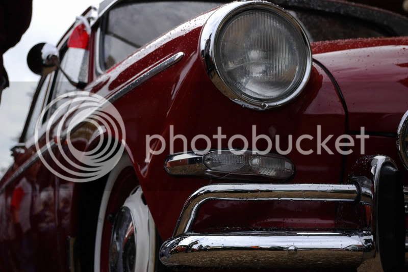 Notchback3.jpg