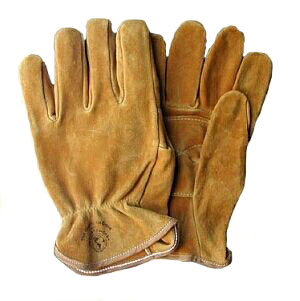 work-gloves.jpg