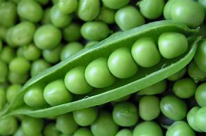 Image result for image english peas and in pods