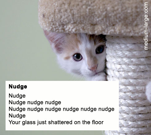 nudge-cat-poem.jpg