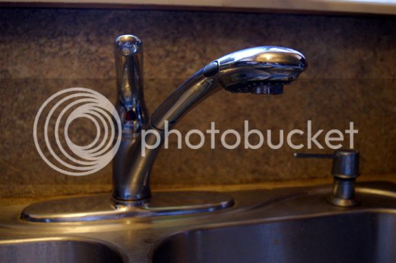 Faucet-DeltaSprayer-Copy_zps74ff3c4d.jpg