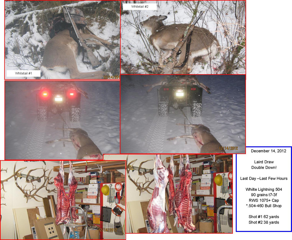2012-Deer-Composite.jpg