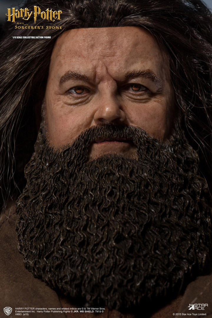 Hagrid-D1.jpg