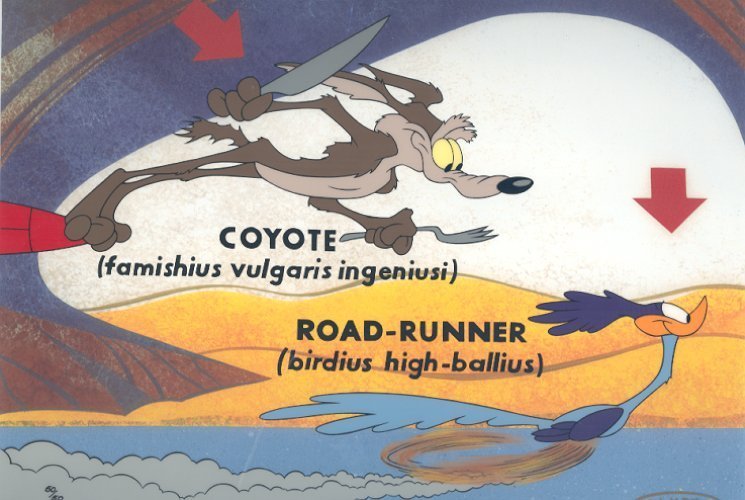 Road-Runner.jpg