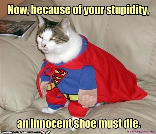 funny-pictures-cat-will-kill-an-inn.jpg