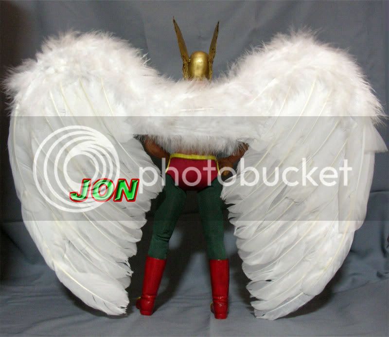 Hawkman_Custom2.jpg