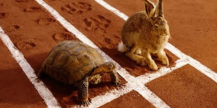 why-slow-steady-wins-race.jpg