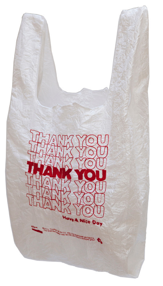 1+Lauren+Dicioccio+Thank+you+plastic+bag+embroidered+1.jpg