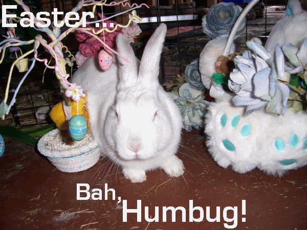 BunBun-bahHumbug.gif