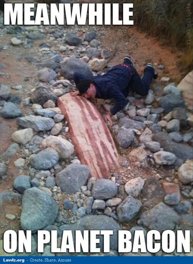 meanwhile-on-planet-bacon-funny-rock-meme.jpg