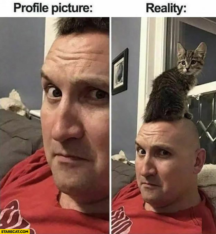 bald-man-profile-picture-vs-reality-cat-sitting-on-his-head.jpg