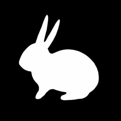 Follow The White Rabbit 🌼 (PRO)
