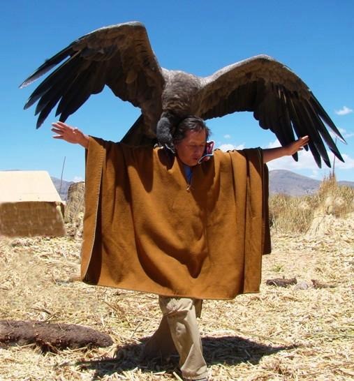 the-vulture-condor.jpg