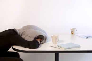 ostrich-pillow.jpg