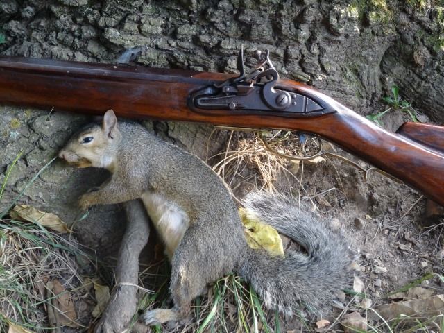 FlintlockSquirrel-3_zpsco4t71fc.jpg