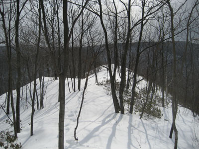 negusmtntrail-2007-0304a.jpg