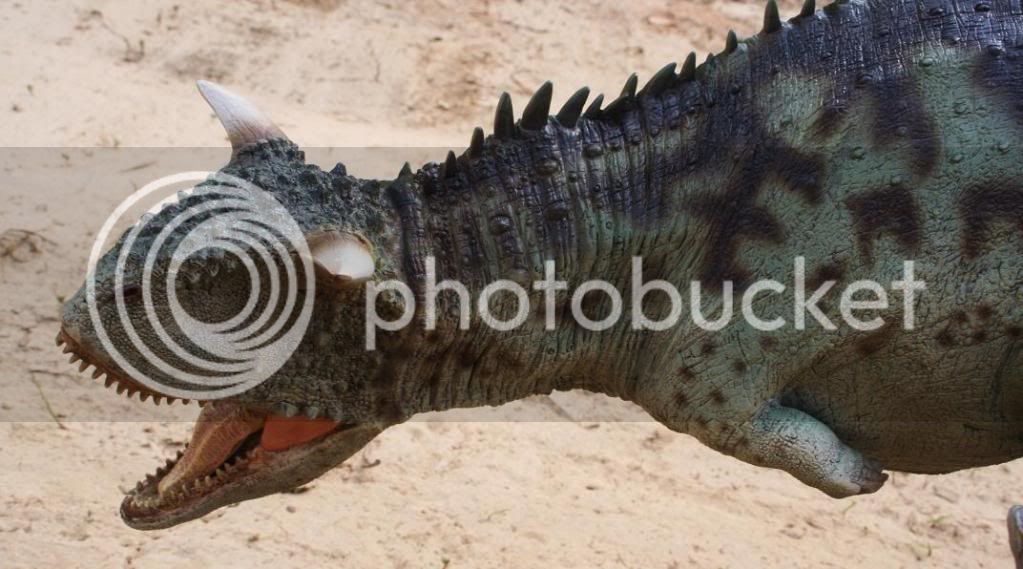 carno6.jpg