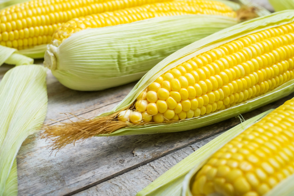 types of corn