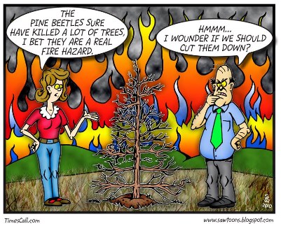 Pine-Beetle-Fire-web.jpg