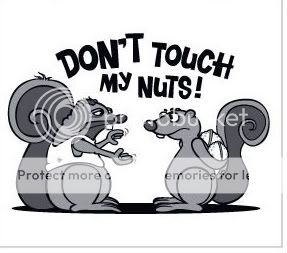 dont-touch-my-nuts-squirrel-t-sh-1.jpg