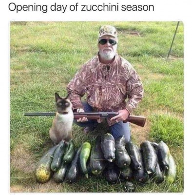 Zuccini-season.jpg