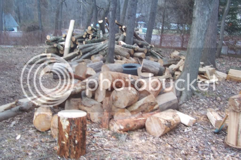 Woodpiles2162013004.jpg