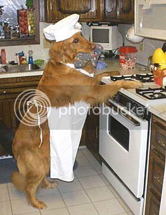 Dog-in-Kitchen.jpg